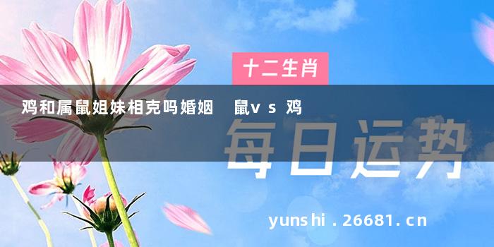 鸡和属鼠姐妹相克吗婚姻 鼠vs鸡